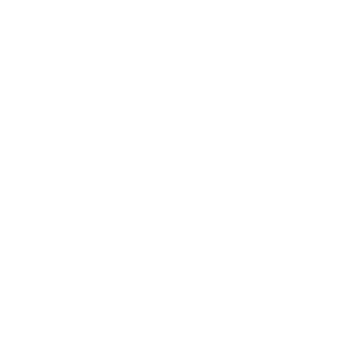 Duality - Copy